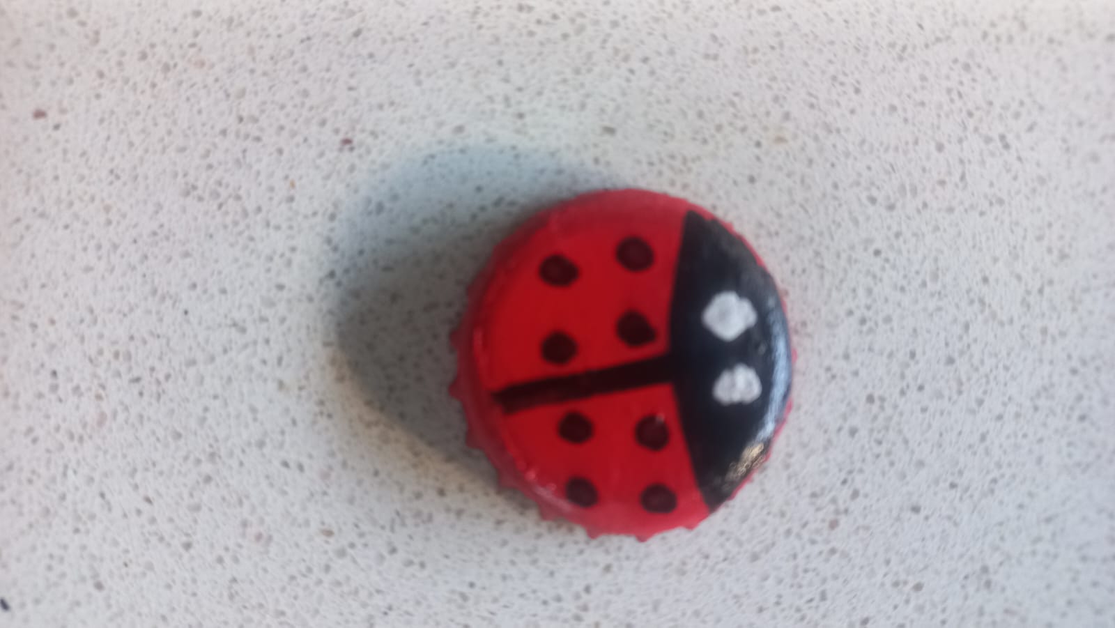 Joaninha 🐞
